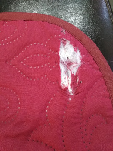 Покрывало Tango (Танго) "Casablanca", 160x220, велюр (CAS1622-4 код 2308-BR)