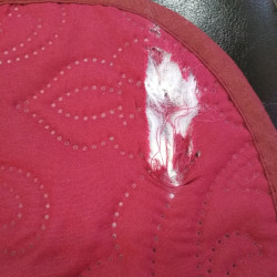 Покрывало Tango (Танго) &quot;Casablanca&quot;, 160x220, велюр (CAS1622-4 код 2308-BR)