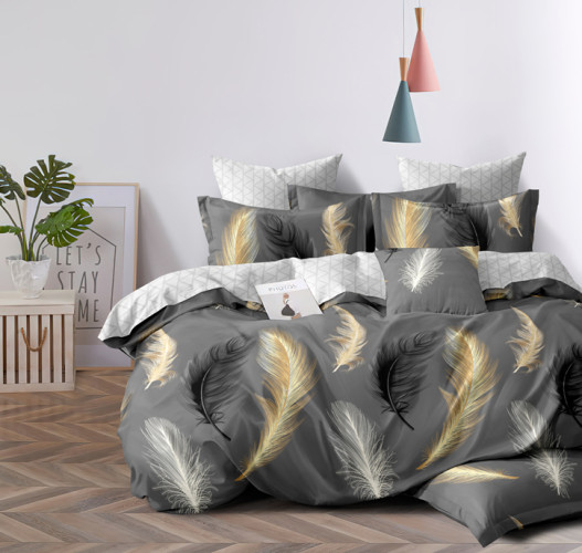 Постельное белье AlViTek (АльВиТек), евро, сатин, на молнии (АльВиТек-CA-6-276)