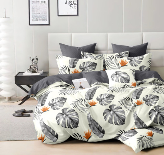 Постельное белье AlViTek (АльВиТек), евро, сатин, на молнии (АльВиТек-CA-6-277)