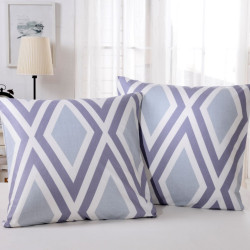 Наволочки печатные Valtery "NCT-245", 70x70, сатин, 2 шт (NCT-245-1852)