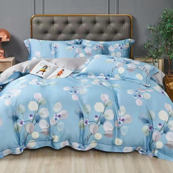 Постельное белье AlViTek (АльВиТек), евро, сатин, на молнии (АльВиТек-CA-6-281)