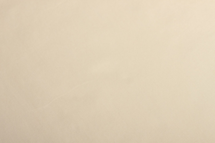 Наволочка  AlViTek (АльВиТек), 35x280, сатин, 1 шт (НС-U280-Беж)