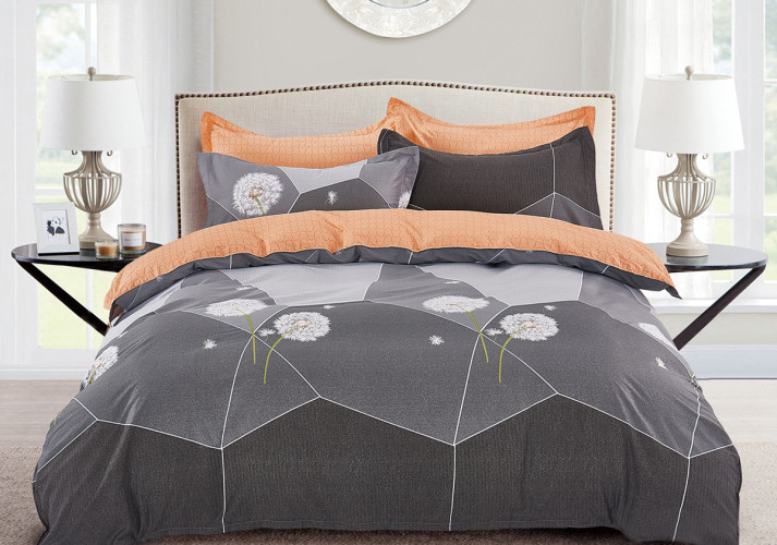 Постельное белье AlViTek (АльВиТек), евро, сатин, на молнии (АльВиТек-CA-6-654)