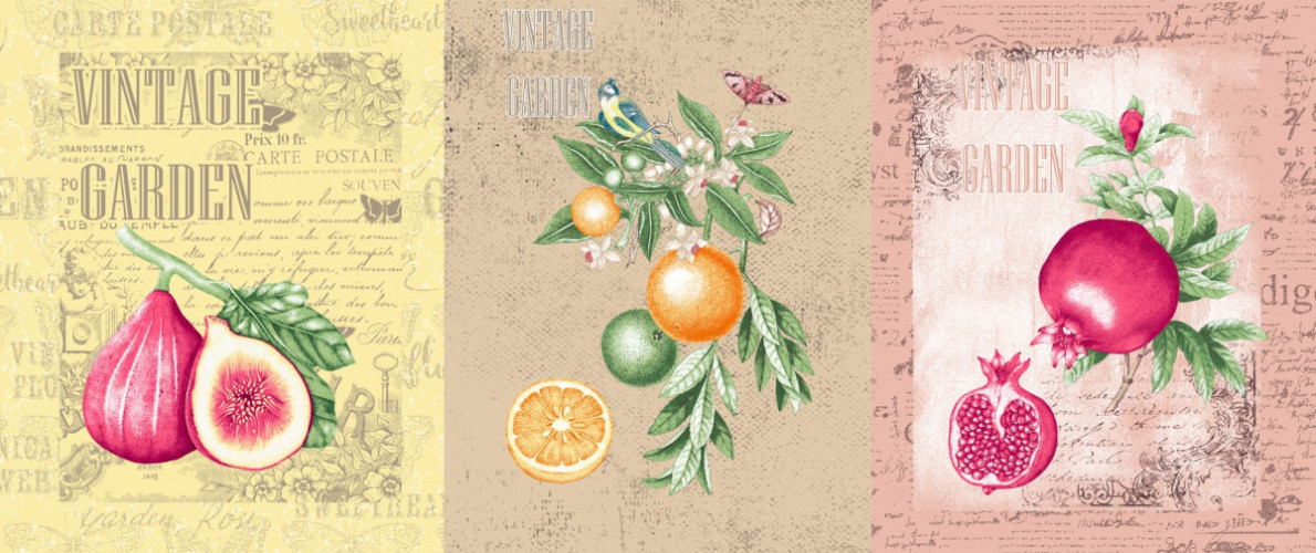 Набор полотенец Valtery "10076-1", 50x60, хлопок, 3 шт (10076-1-1498)