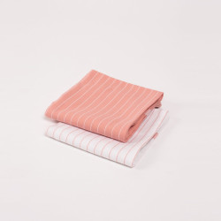 Набор полотенец Arya Home &quot;Cassie&quot;, кухонные, 45x70, хлопок, 2 шт (8680943106827)