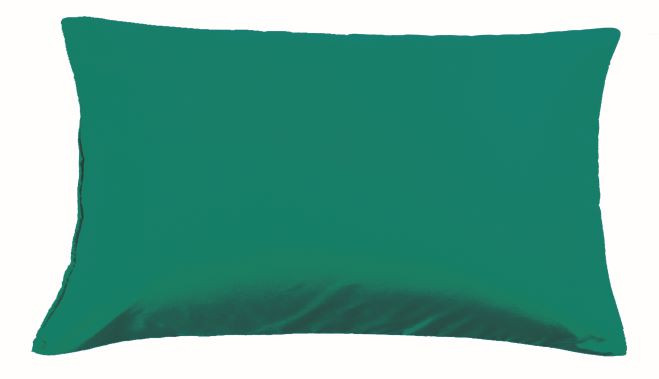 Наволочки  Valtery "NC-35", 50x70, сатин, 2 шт (NC-35-1851)