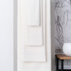 Полотенце Arya Home "Arno", гостевое, 30x50, махровая ткань (8680943028150)