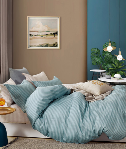 Постельное белье Valtery "C-1020", 2-спальный, сатин (C-1020-1251)